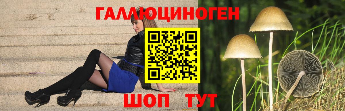 Галлюциногенные грибы мицелий Брянск